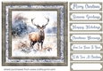 Framed Christmas stag card front 10