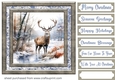 Framed Christmas stag card front 12