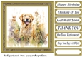 Yellow floral Labrador card front 1