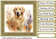 Yellow floral Labrador card front 2