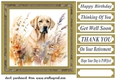 Yellow floral Labrador card front 4