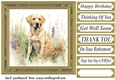 Yellow floral Labrador card front 5