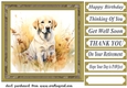 Yellow floral Labrador card front 6