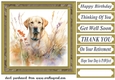 Yellow floral Labrador card front 7