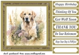 Yellow floral Labrador card front 9