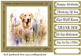 Yellow floral Labrador card front 10