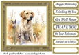 Yellow floral Labrador card front 11