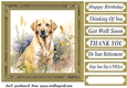 Yellow floral Labrador card front 12
