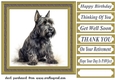 Gold framed Scottish terrier card front 1