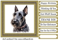 Gold framed Scottish terrier card front 2