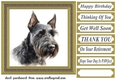 Gold framed Scottish terrier card front 3