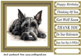 Gold framed Scottish terrier card front 5