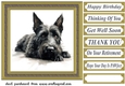 Gold framed Scottish terrier card front 6