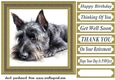 Gold framed Scottish terrier card front 7