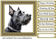 Gold framed Scottish terrier card front 9