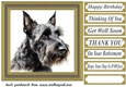 Gold framed Scottish terrier card front 10
