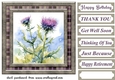 Tartan thistle card front 1
