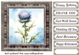 Tartan thistle card front 2