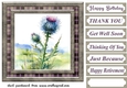 Tartan thistle card front 6