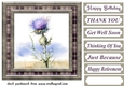 Tartan thistle card front 7