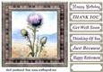 Tartan thistle card front 10