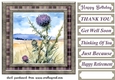 Tartan thistle card front 12
