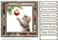 Naughty Christmas kitten card front 2