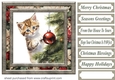 Naughty Christmas kitten card front 4
