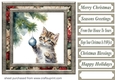 Naughty Christmas kitten card front 5
