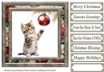 Naughty Christmas kitten card front 6