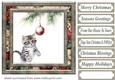 Naughty Christmas kitten card front 9