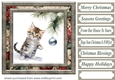 Naughty Christmas kitten card front 12