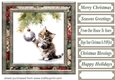 Naughty Christmas kitten card front 13