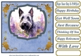 Floral Scottish terrier card front (N) 8
