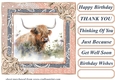 Lace framed hedgerow Highland cow card front 3