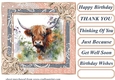 Lace framed hedgerow Highland cow card front 4