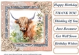 Lace framed hedgerow Highland cow card front 5
