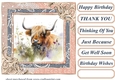 Lace framed hedgerow Highland cow card front 6
