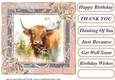 Lace framed hedgerow Highland cow card front 7