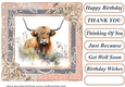 Lace framed hedgerow Highland cow card front 8