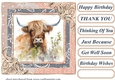 Lace framed hedgerow Highland cow card front 9