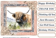 Lace framed hedgerow Highland cow card front 11