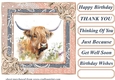 Lace framed hedgerow Highland cow card front 12