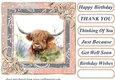 Lace framed hedgerow Highland cow card front 13