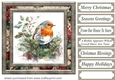 Christmas robin card front 1