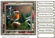 Christmas robin card front 7