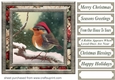 Christmas robin card front 8