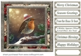 Christmas robin card front 13