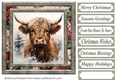 Christmas Highland cow card front 10