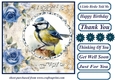 Blue rose a little birdie told me card front